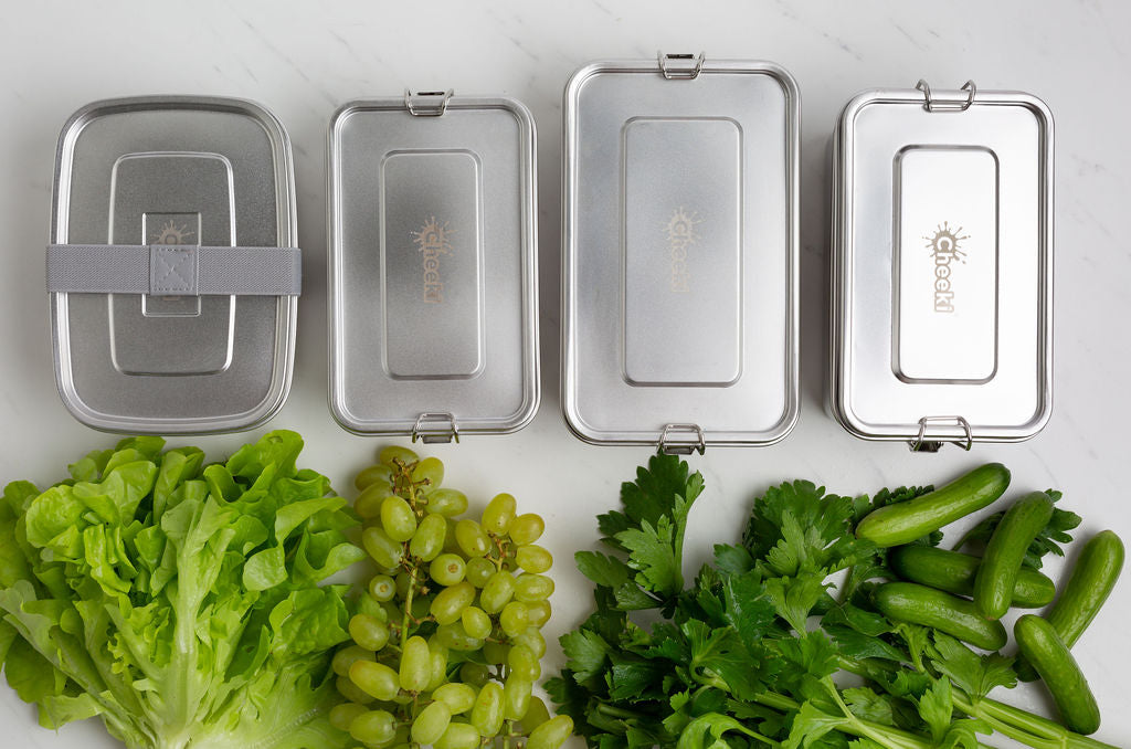 Best Stainless Steel Lunch Containers for Your Lunchbox - Get Green Be Well
