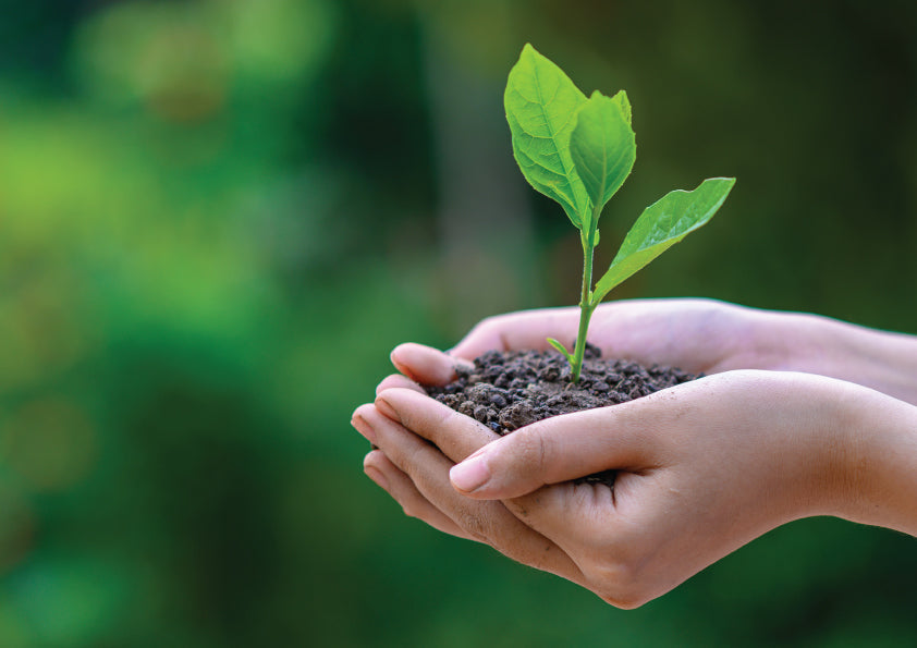 5 Ways you can help the planet this World Environment Day – Cheeki