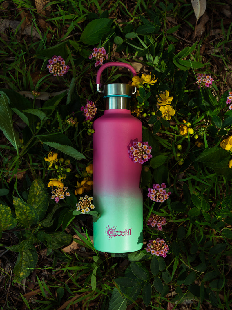 600ml Classic Insulated Bottle - Watermelon