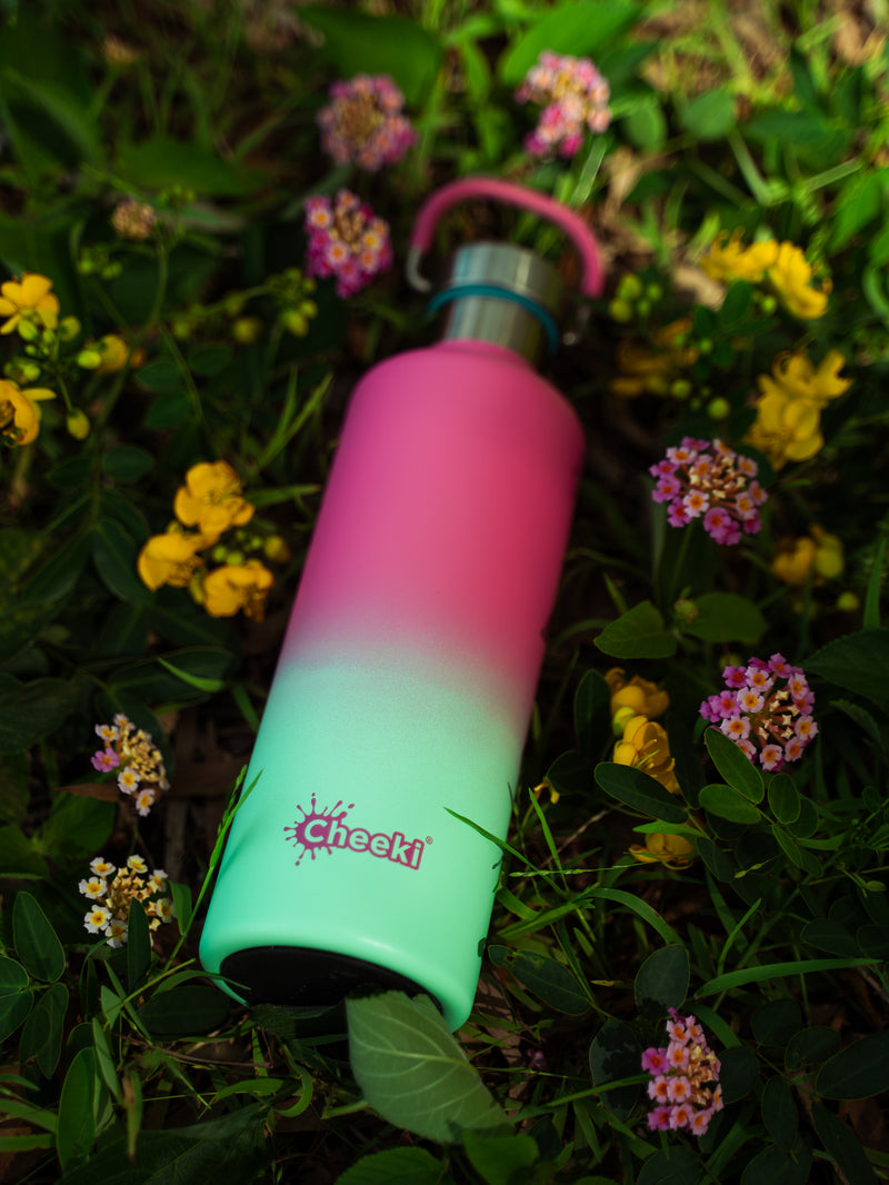 600ml Classic Insulated Bottle - Watermelon