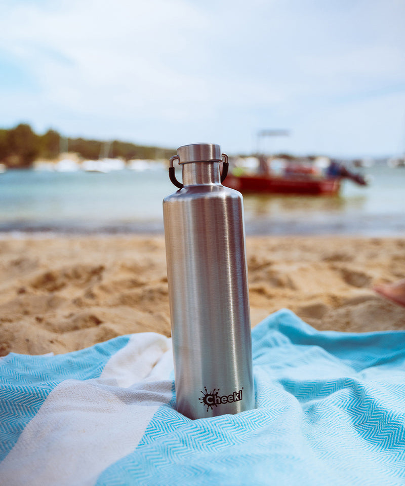 1 Litre Insulated Classic Bottle - Silver