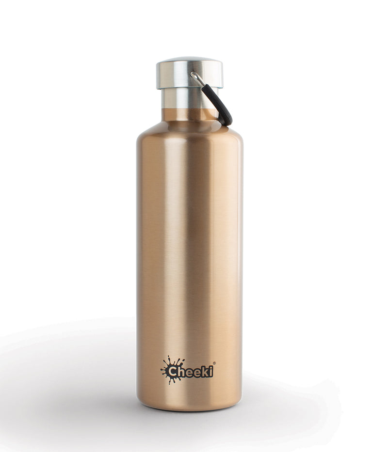 600ml Classic Insulated Bottle - Champagne