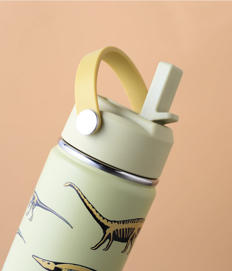 400ml Insulated Little Adventurer Bottle - Dinosaur