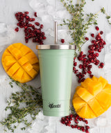 500ml Stainless Steel Insulated Tumbler - Pistachio